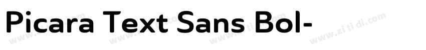 Picara Text Sans Bol字体转换